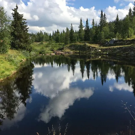 Nilsrud 30 *