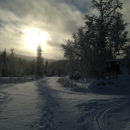 Nilsrud 30 Amotsdal