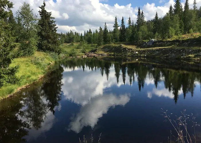 Nilsrud 30 *