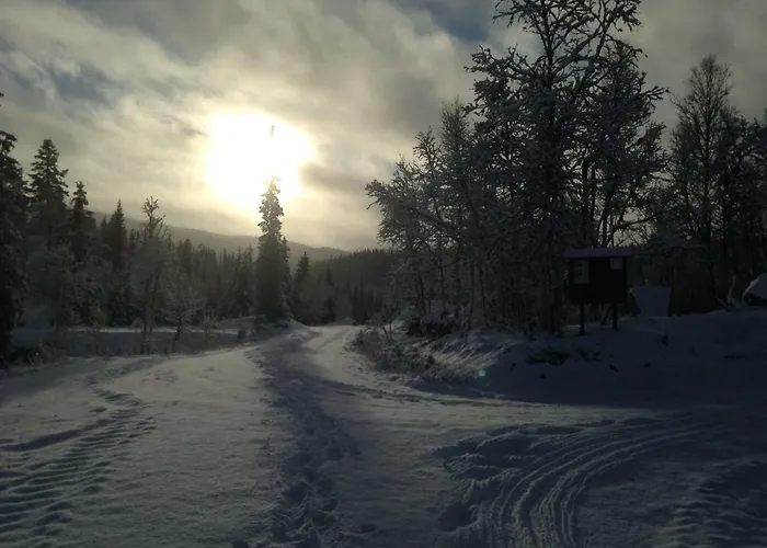 Nilsrud 30 Amotsdal