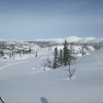 بيت للعطل Nilsrud 30