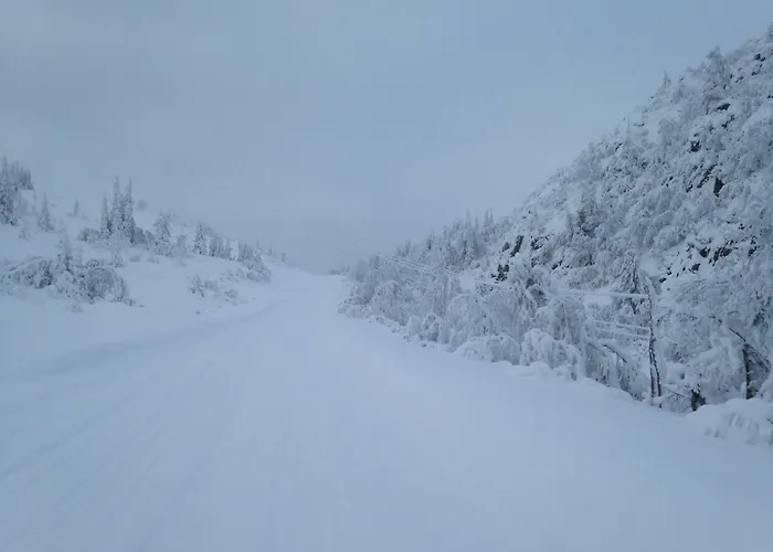 Nilsrud 30 Amotsdal